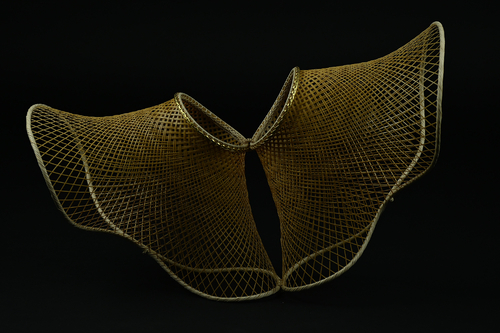FLY II